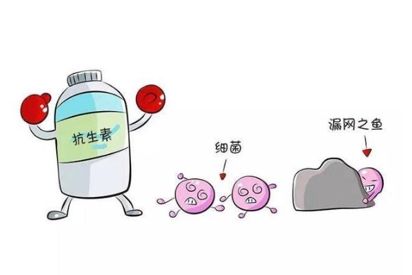 网络配图 网络配图
