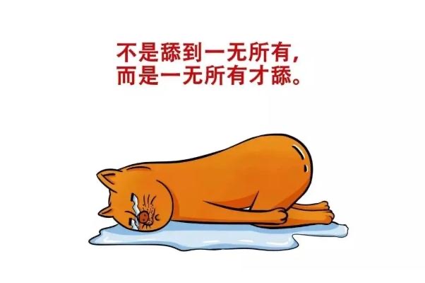 网络配图 网络配图